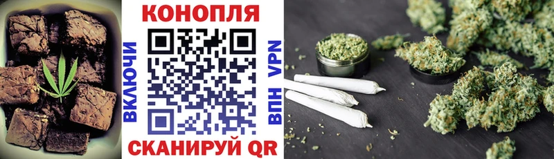 Cannafood марихуана  Купить закладки  Прохладный 