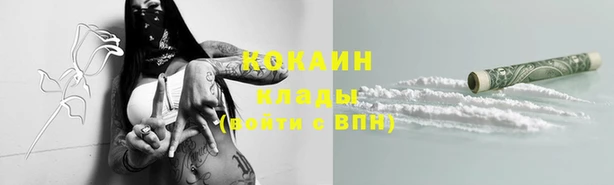 крисы Дмитриев