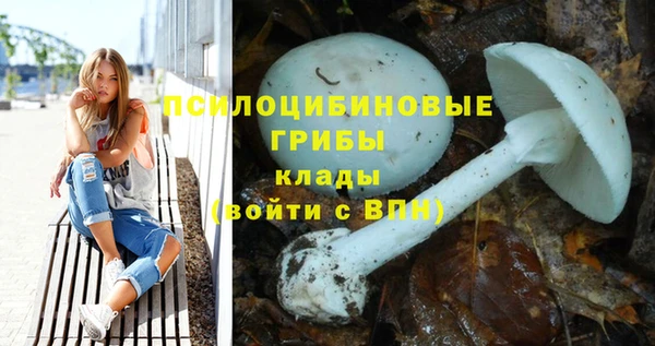 кокс Гусь-Хрустальный